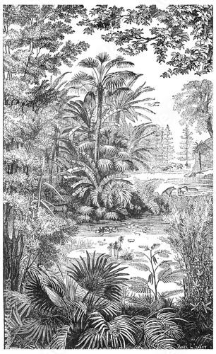 Landscape of the Miocene period in Lausanne, vintage engraving. photo