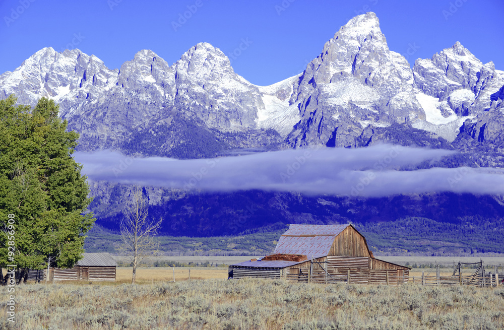Rural landscape with alpine background with snow capped peaks, Grand Teton National Park, Wyoming, USA