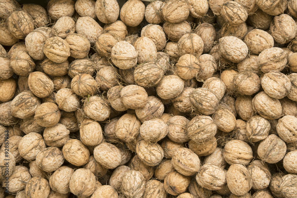Pile of fresh walnuts Pile of fresh walnuts