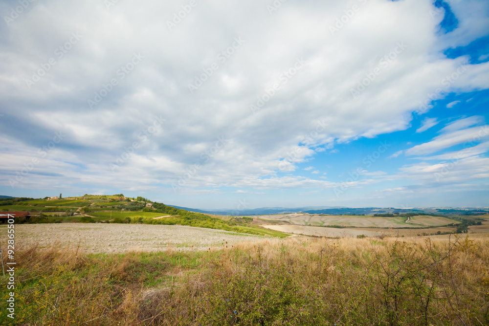 Beautiful autumn Tuscany vineyards view