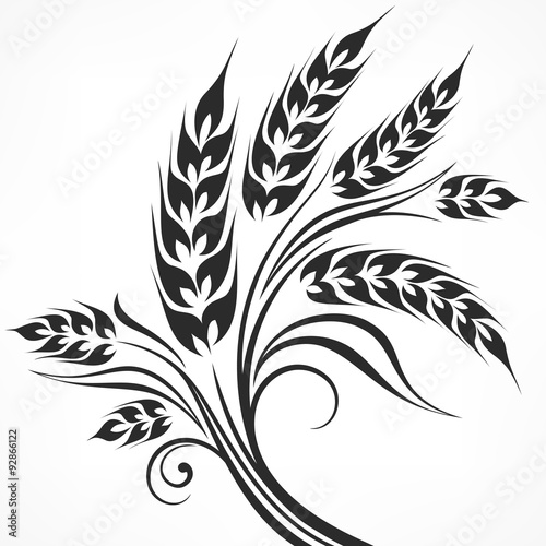 Stylized ears of wheat in black on white, illustration