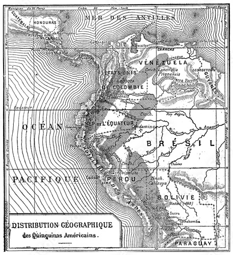 Geographical distribution of quinine Americans, vintage engravin