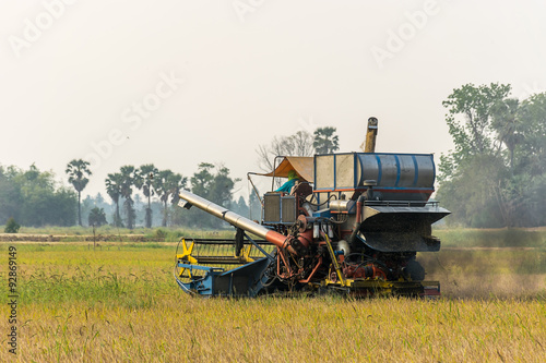 harvest