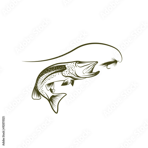pike and lure vector design template
