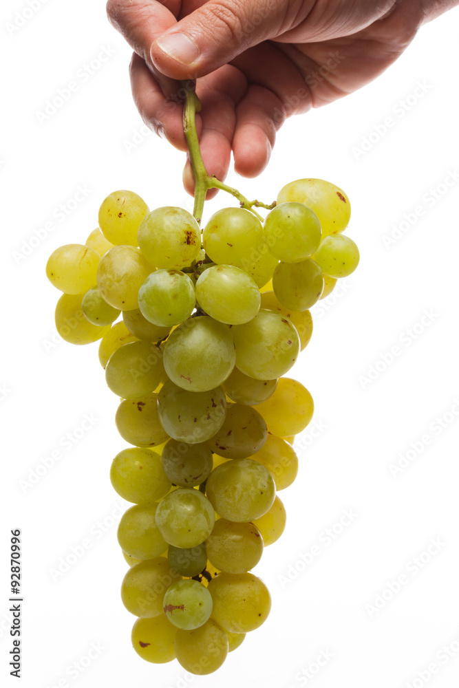 Man hand holding Fresh grape cluster on white with water drops Man hand holding Fresh grape cluster on white with water drops