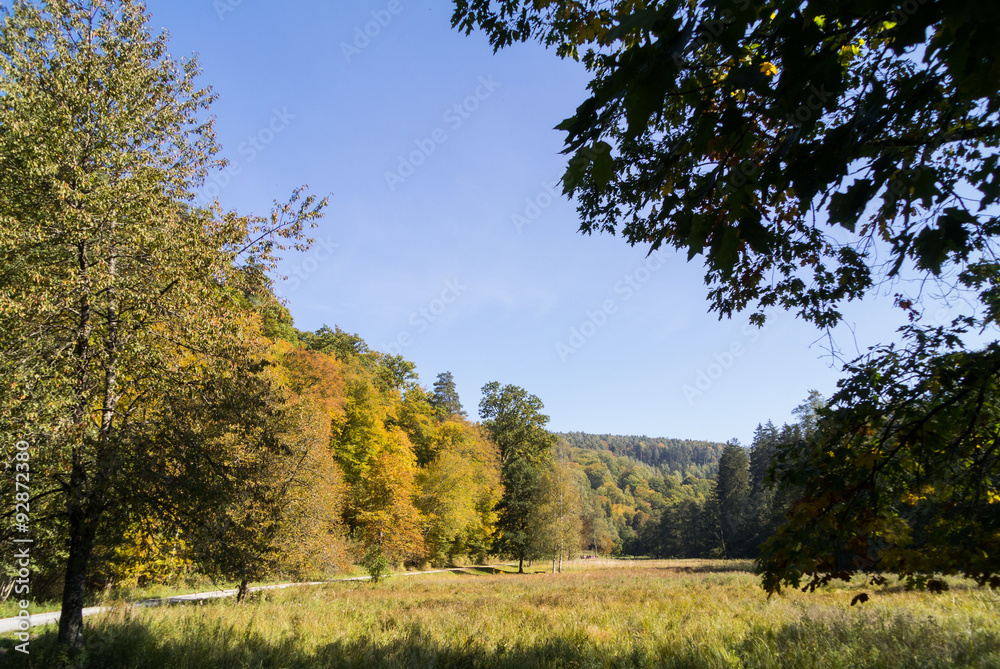 Fototapeta premium Großes Goldersbachtal, Schönbuch, im Herbst