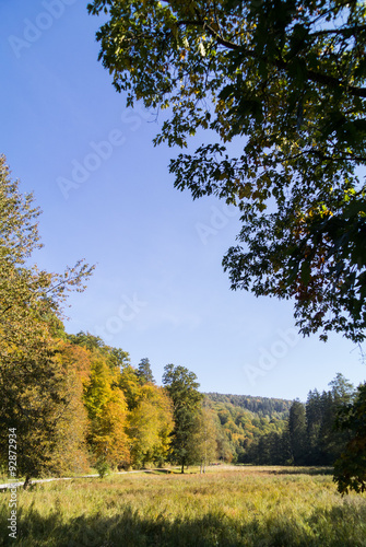 Großes Goldersbachtal, Schönbuch, im Herbst photo