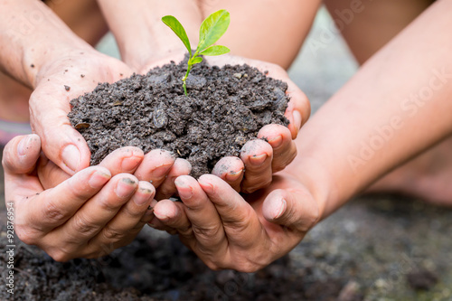 Cupped hands holding a green plant