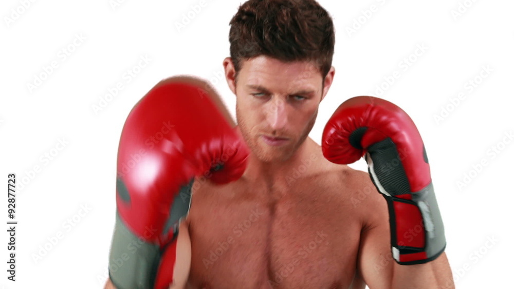 Serious muscular with gloves boxer practising Serious muscular with gloves boxer practising