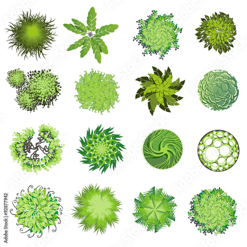 Trees and bush item top view \ top side for landscape design, vector icon