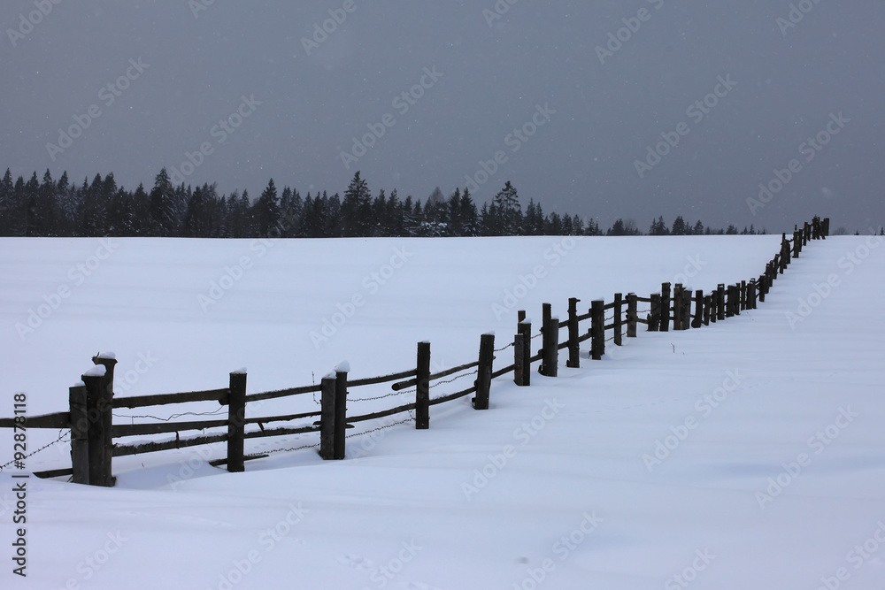 The edge of the forest and fence on winter night