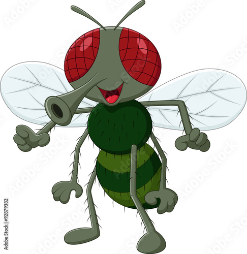 Cartoon cute fly