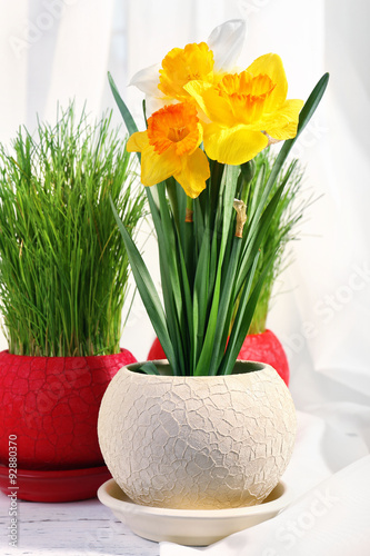 beautiful flowers with green grass in pots on fabric background