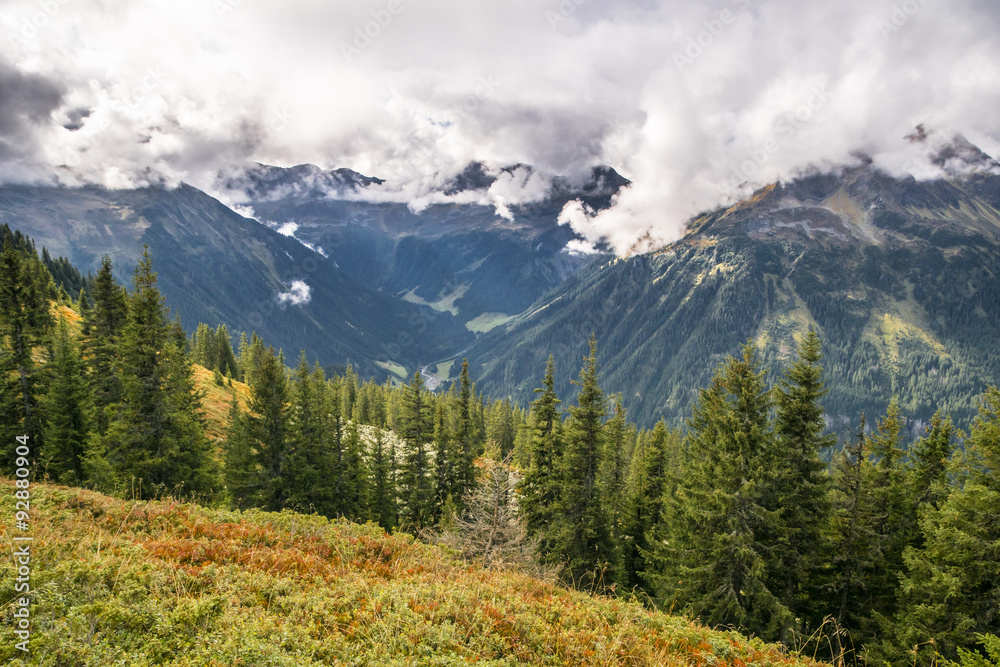 Fototapeta premium Herbst in den Bergen
