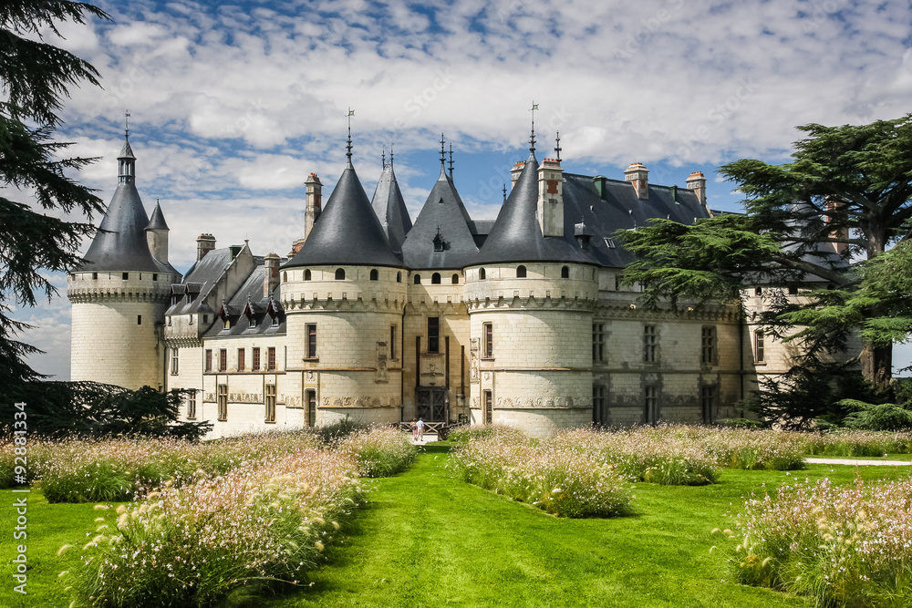 Chaumont castle in Loire Valley, France