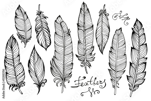 Hand drawn bird feathers  closeup big set isolated on white