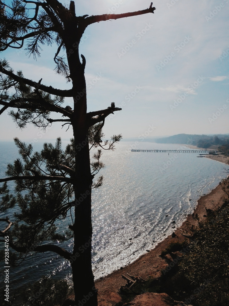 Gdynia Orłowo