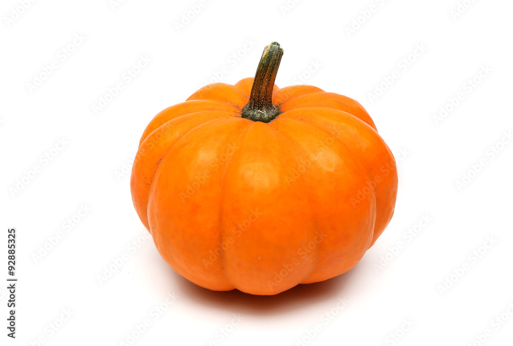 Pumpkin Pumpkin