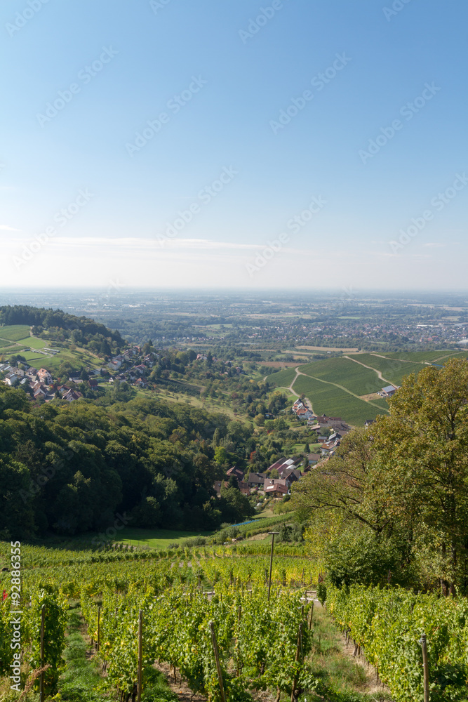 Aussicht von der Burgruine Neuwindeck bei Bühl, Baden-Württemb