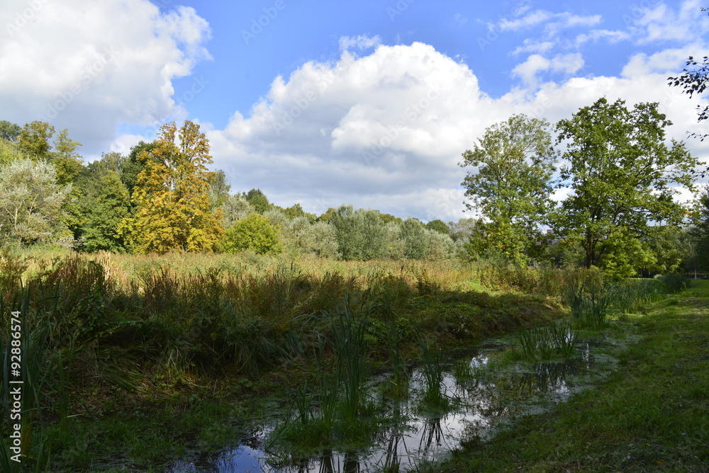 Obraz premium Le ruisseau 