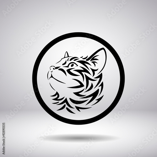 Muzzle of a cat in a circle