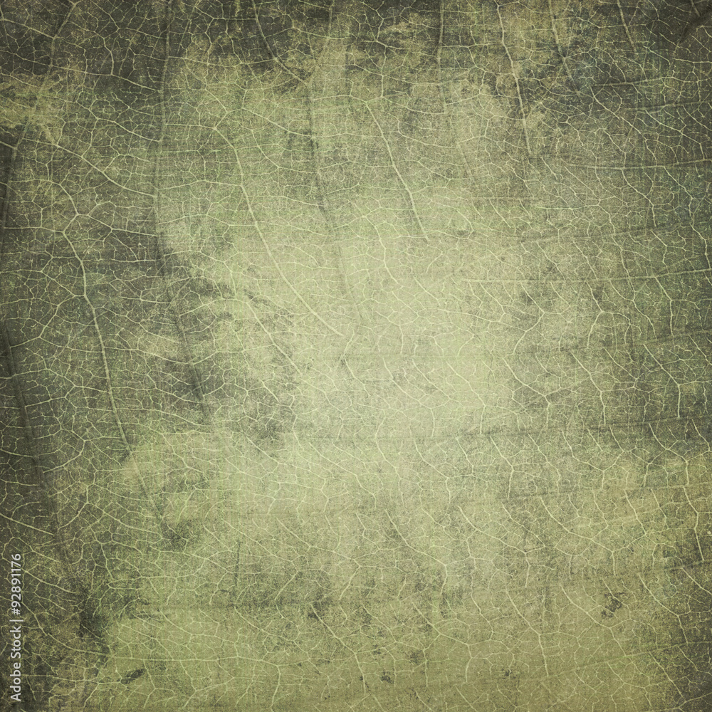 Obraz premium grunge background