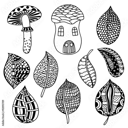 Nature elements
