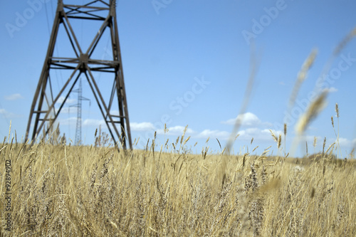 Supports of high-voltage lines in the automn field with blue sky