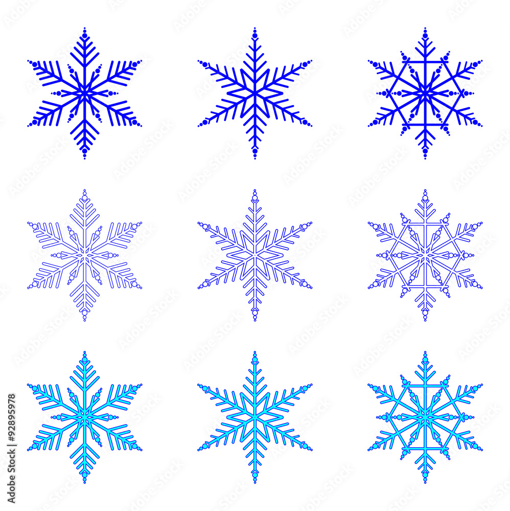 Snowflake: vector set of isolated snowflakes on white background Snowflake: vector set of isolated snowflakes on white background