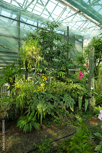 Tropical Plants in greenhouse at botanic garden