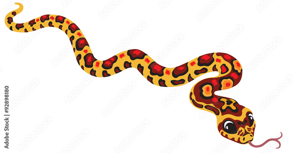 Obraz premium cartoon corn snake isolated on white
