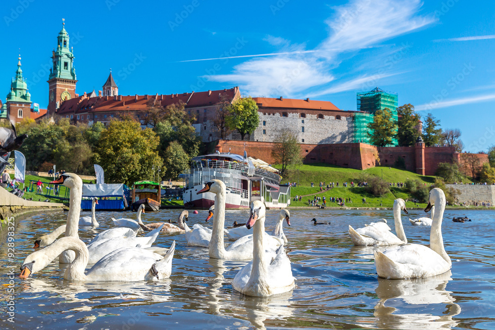 Obraz premium Wawel castle in Krakow