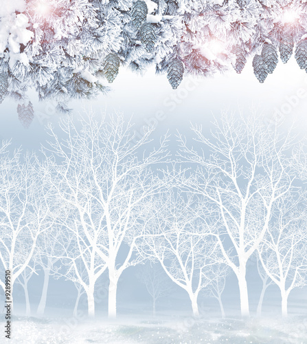 Wallpaper Mural Winter landscape. Torontodigital.ca