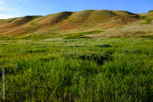 Rolling hills in western high-grass prairie
