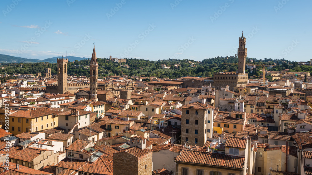 aerial view of historic  town Florence