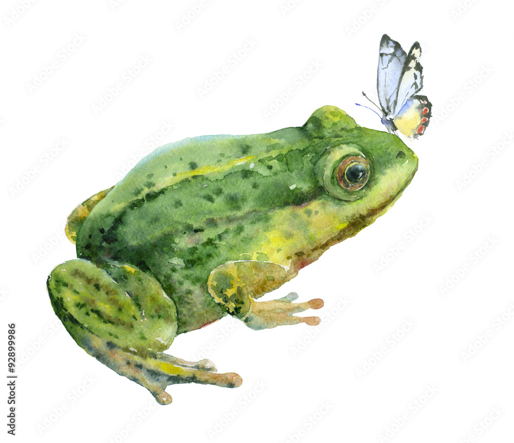 Obraz premium Watercolor green frog with blue butterfly