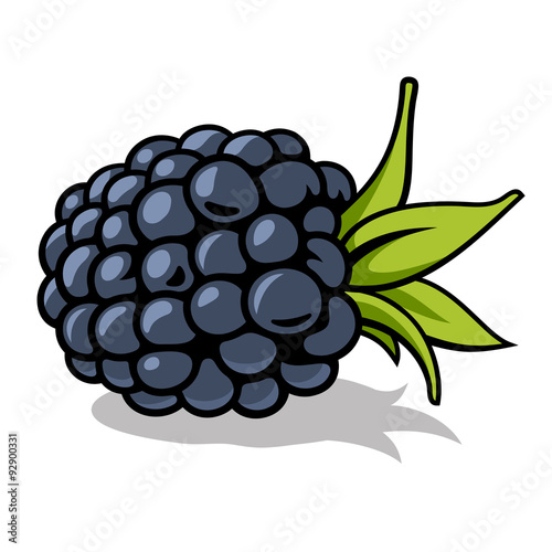 Blackberry 001