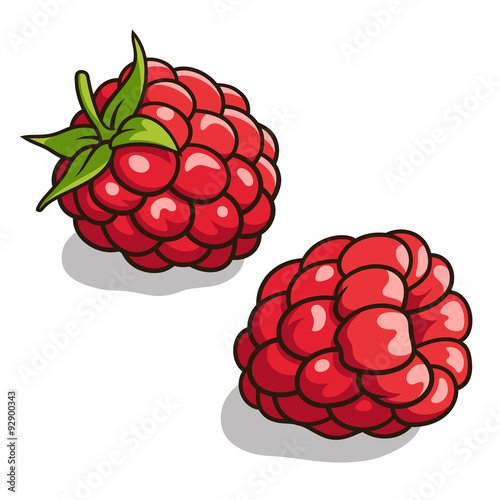 Raspberries 001