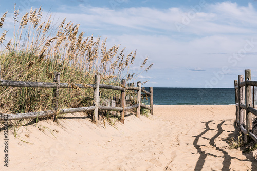Pathway to beach with wooden Fence and beach grass on dunes at Sandbridge Beach in Virginia Beach, Virginia. 