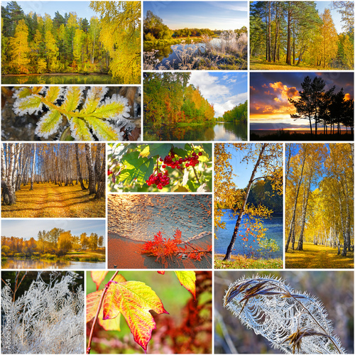 Коллаж на тему осенний пейзаж. Россия,Сибирь,Новосибирская область