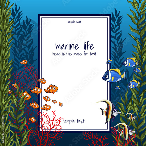 The marine life in bright colors and vertical card