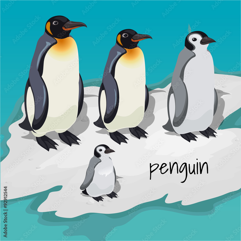 Obraz premium Three big penguins and one little penguin