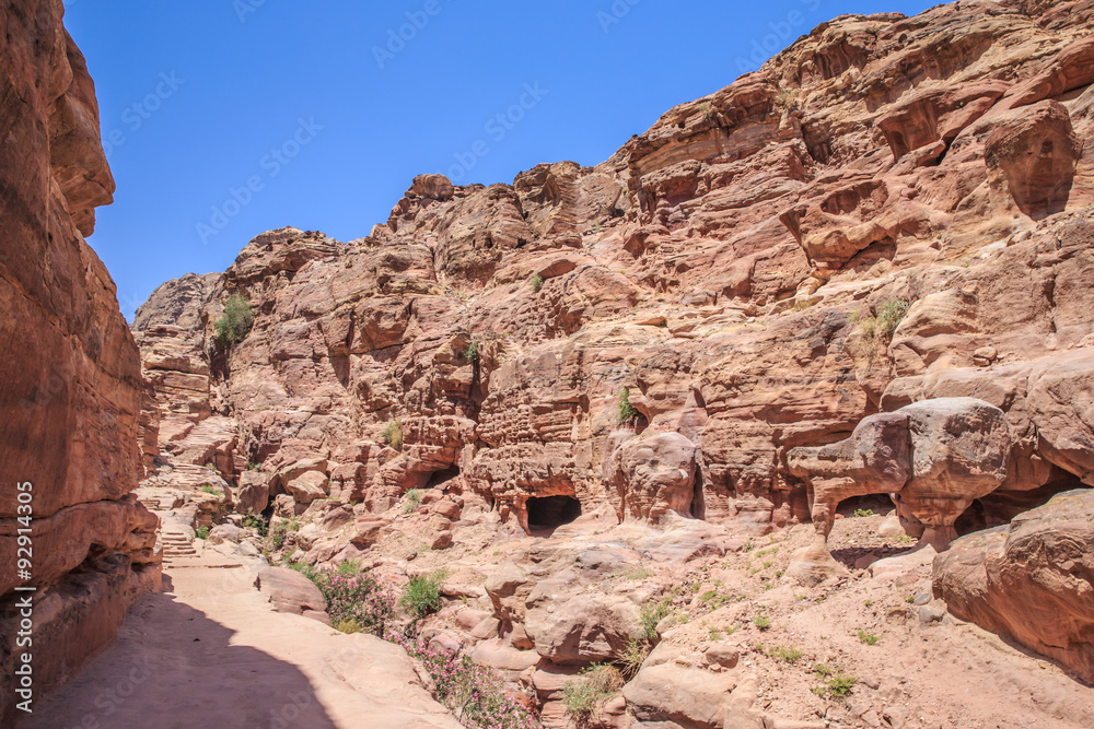 Fototapeta premium Petra