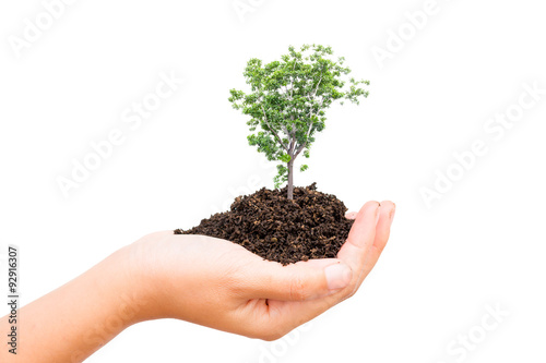 Human plant of tree saving the world.