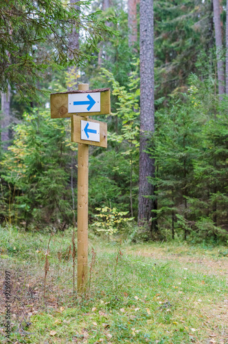 Forest trail signpost with pointing arrows