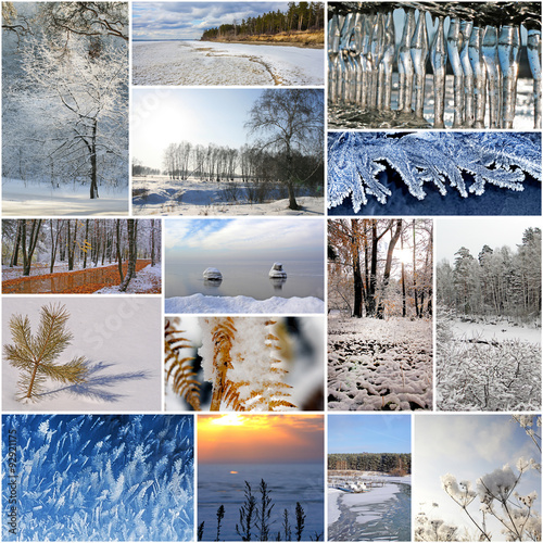 Коллаж на тему зима. Природа России. Сибирь,Новосибирская область