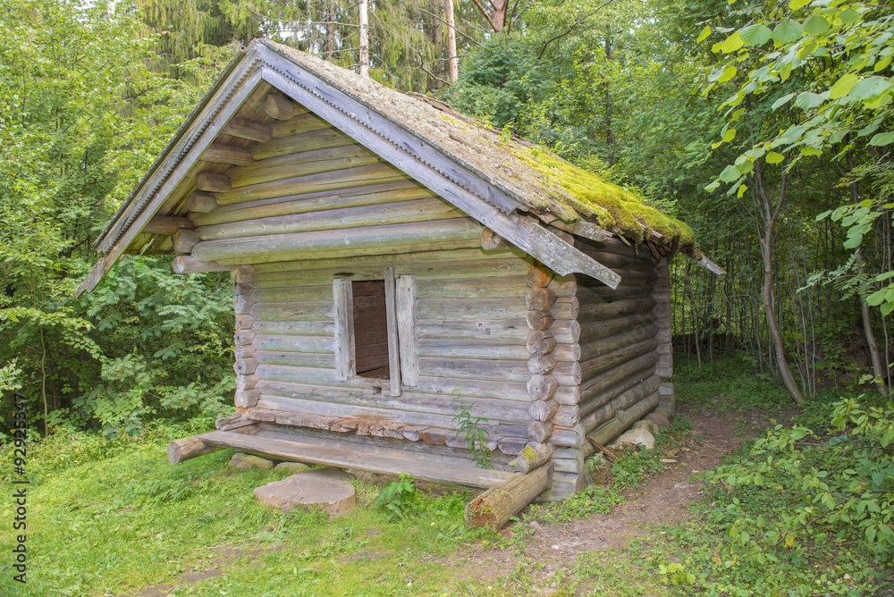 The granary from the 19th century. Vasilevo, Tver region, Russia The granary from the 19th century. Vasilevo, Tver region, Russia