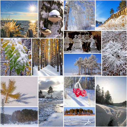 Коллаж на тему зима. Природа России. Сибирь,Новосибирская область