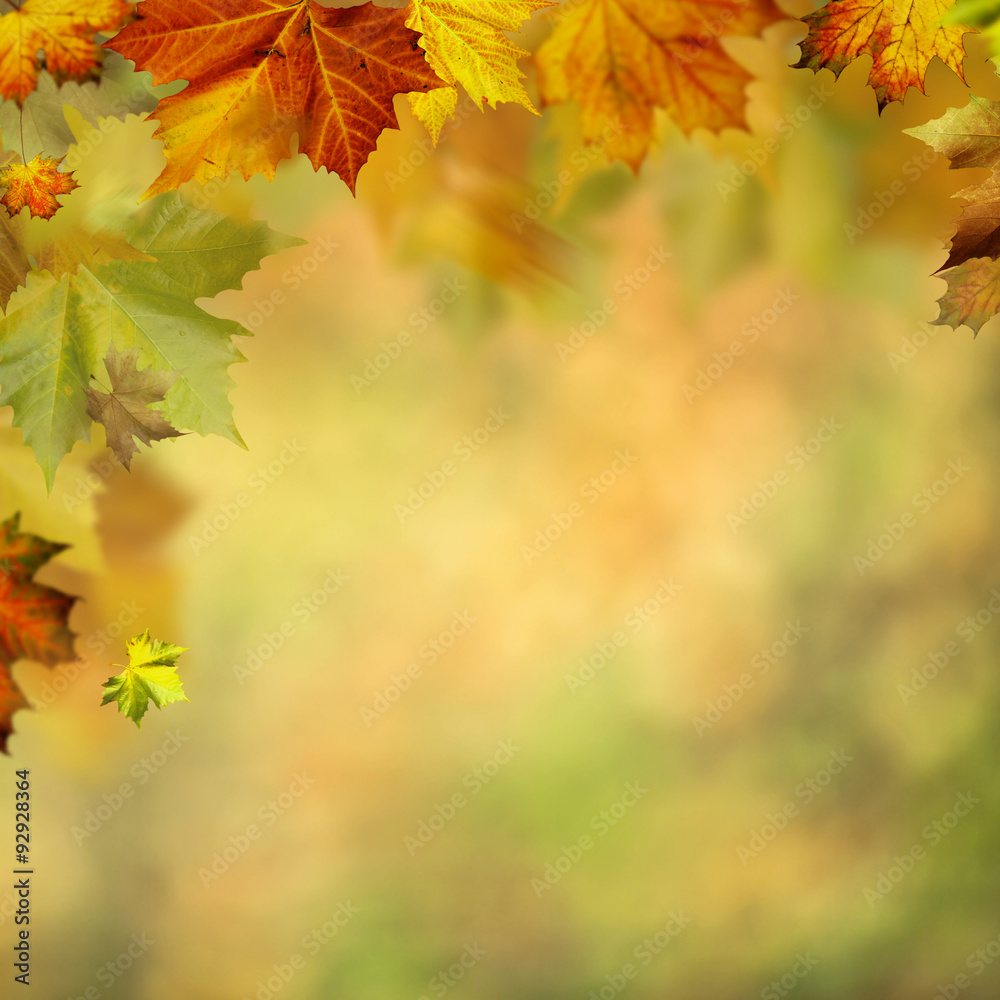 Abstract autumnal backgrounds for your design Abstract autumnal backgrounds for your design