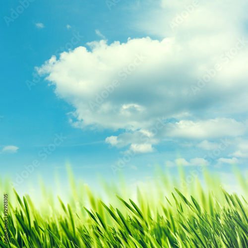 Summer rural abstract landscape with green grass under blue skies